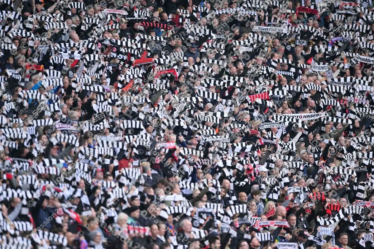 SGEFCB_20241006_0557