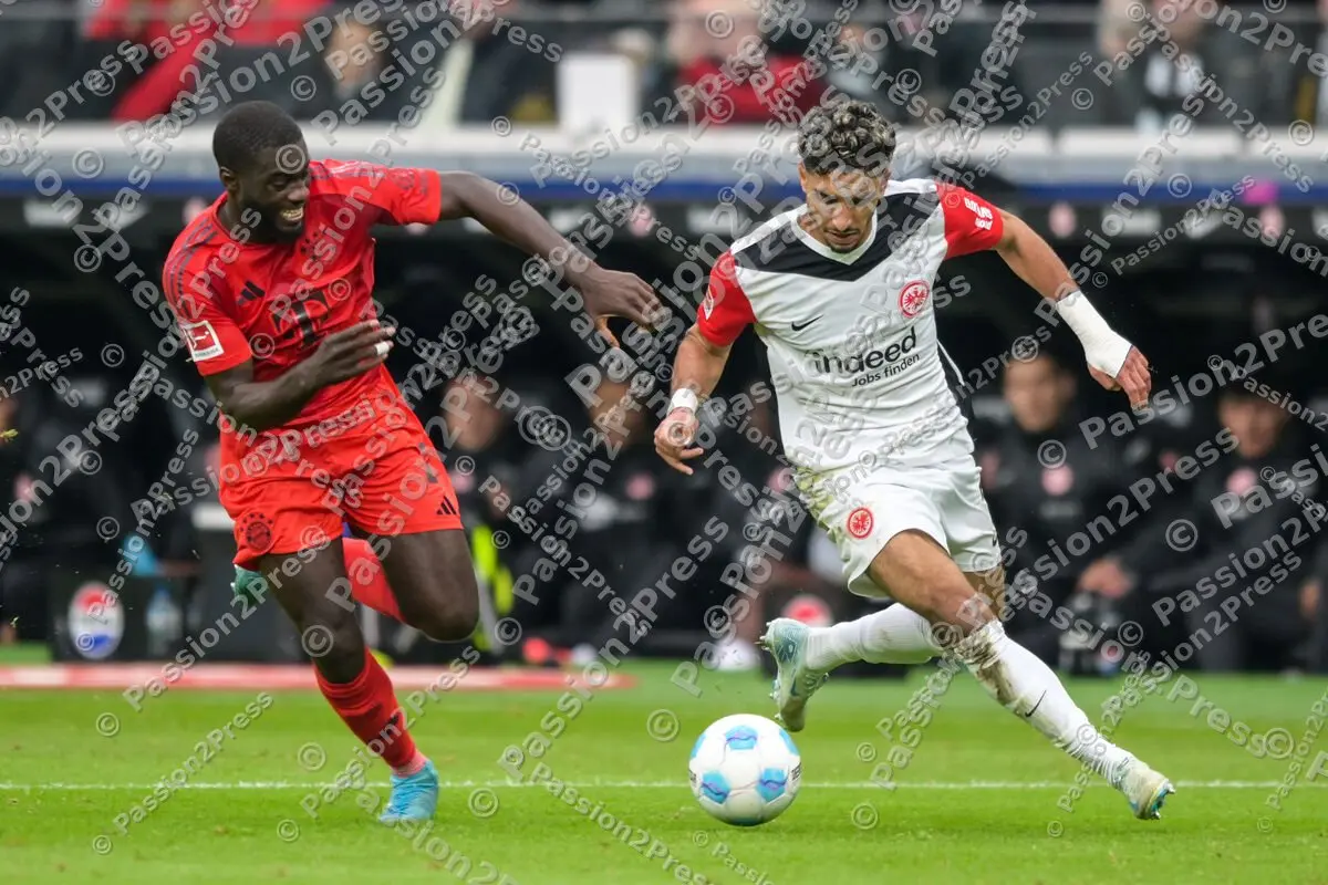 SGEFCB_20241006_1344