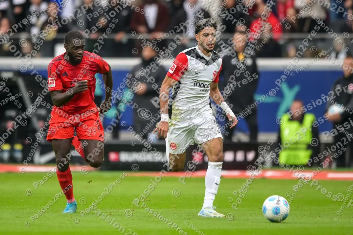 SGEFCB_20241006_1384