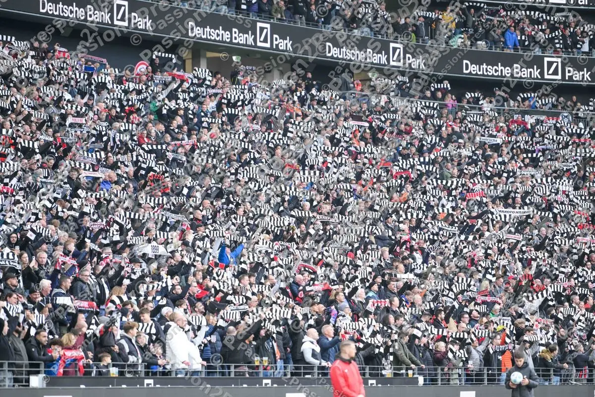 SGEFCB_20241006_1456