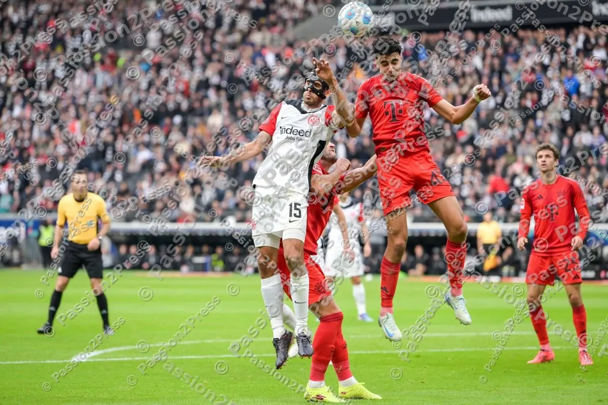 SGEFCB_20241006_1471