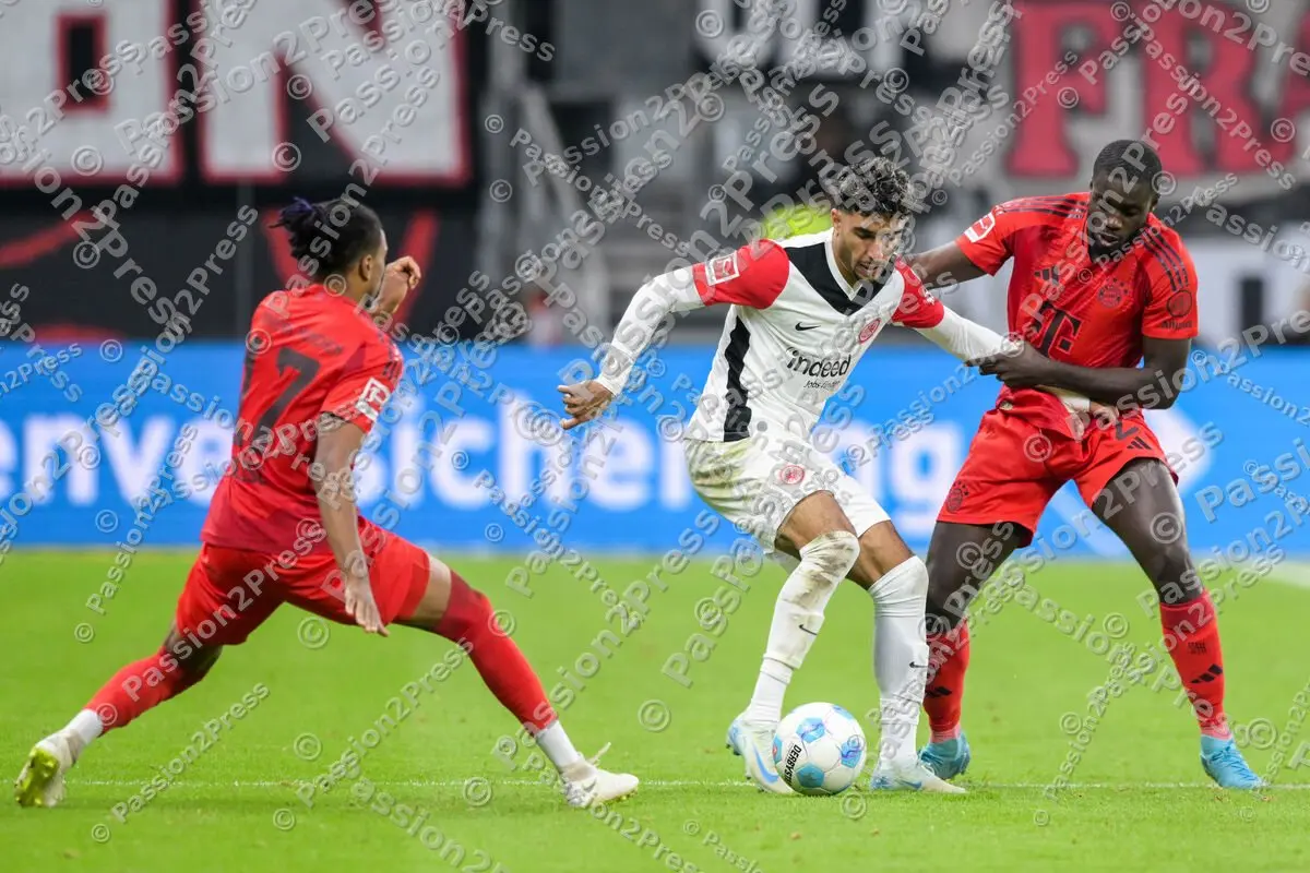 SGEFCB_20241006_1853