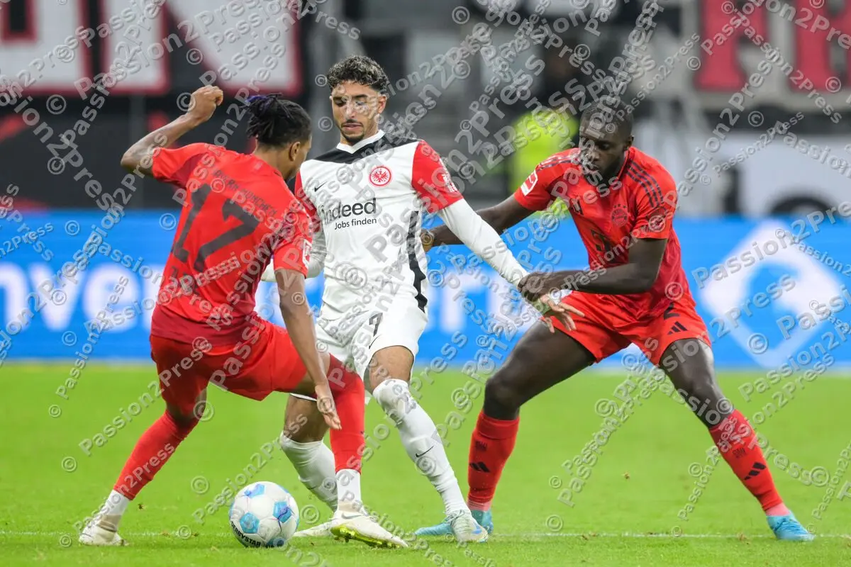 SGEFCB_20241006_1856