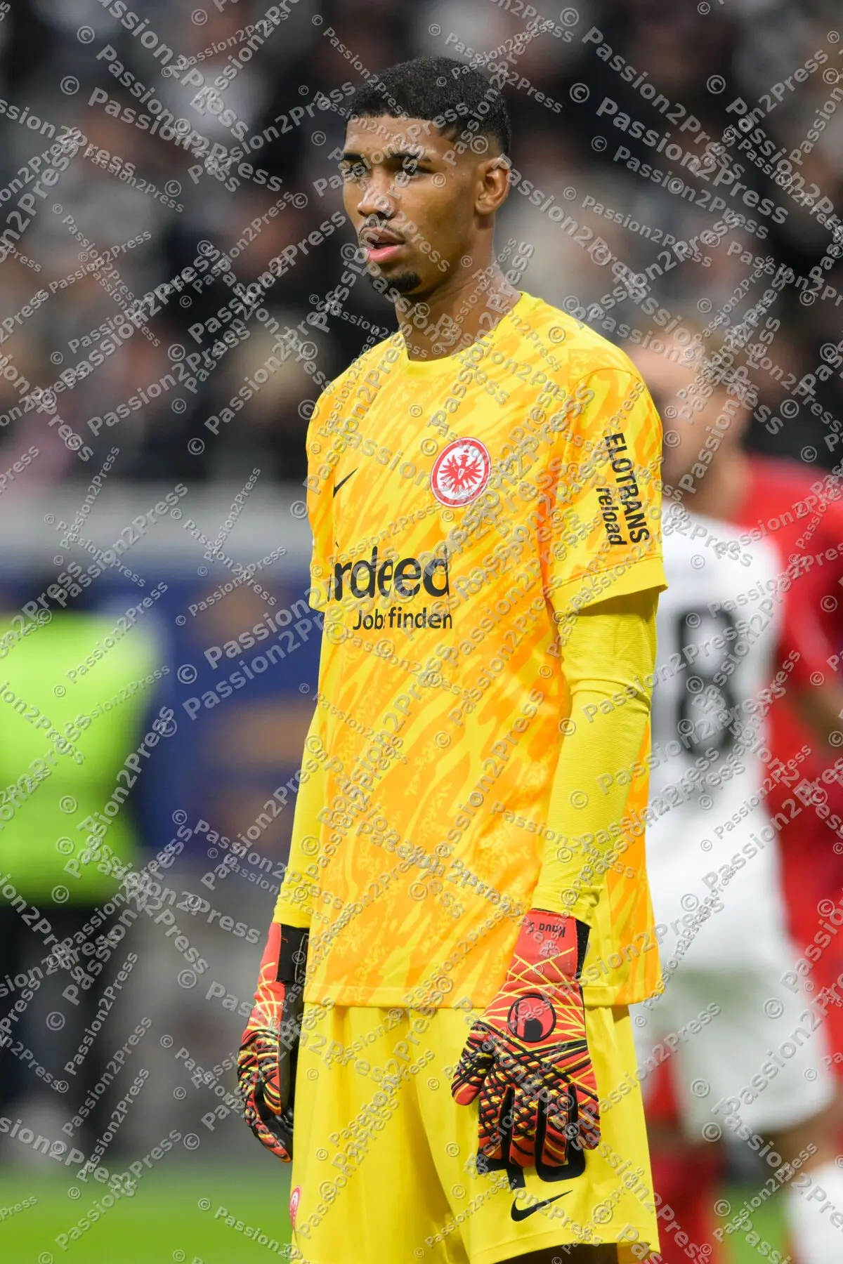 SGEFCB_20241006_1901