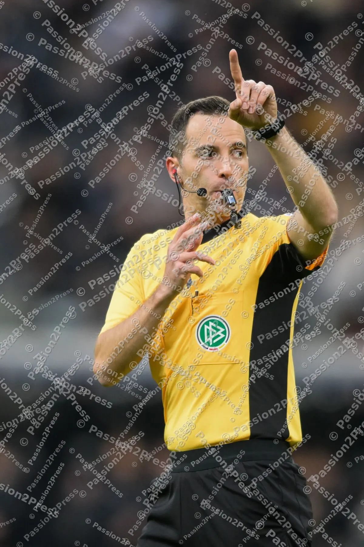 SGEFCB_20241006_1935