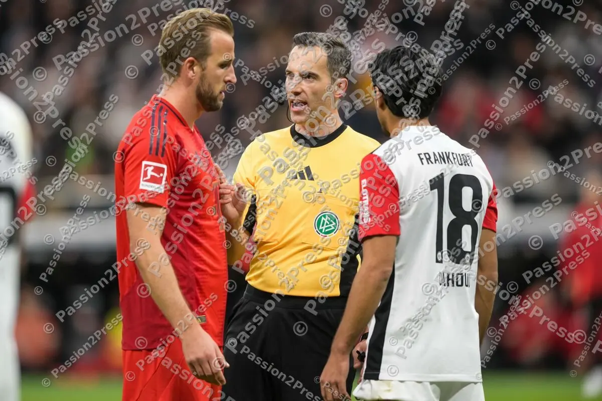 SGEFCB_20241006_2046