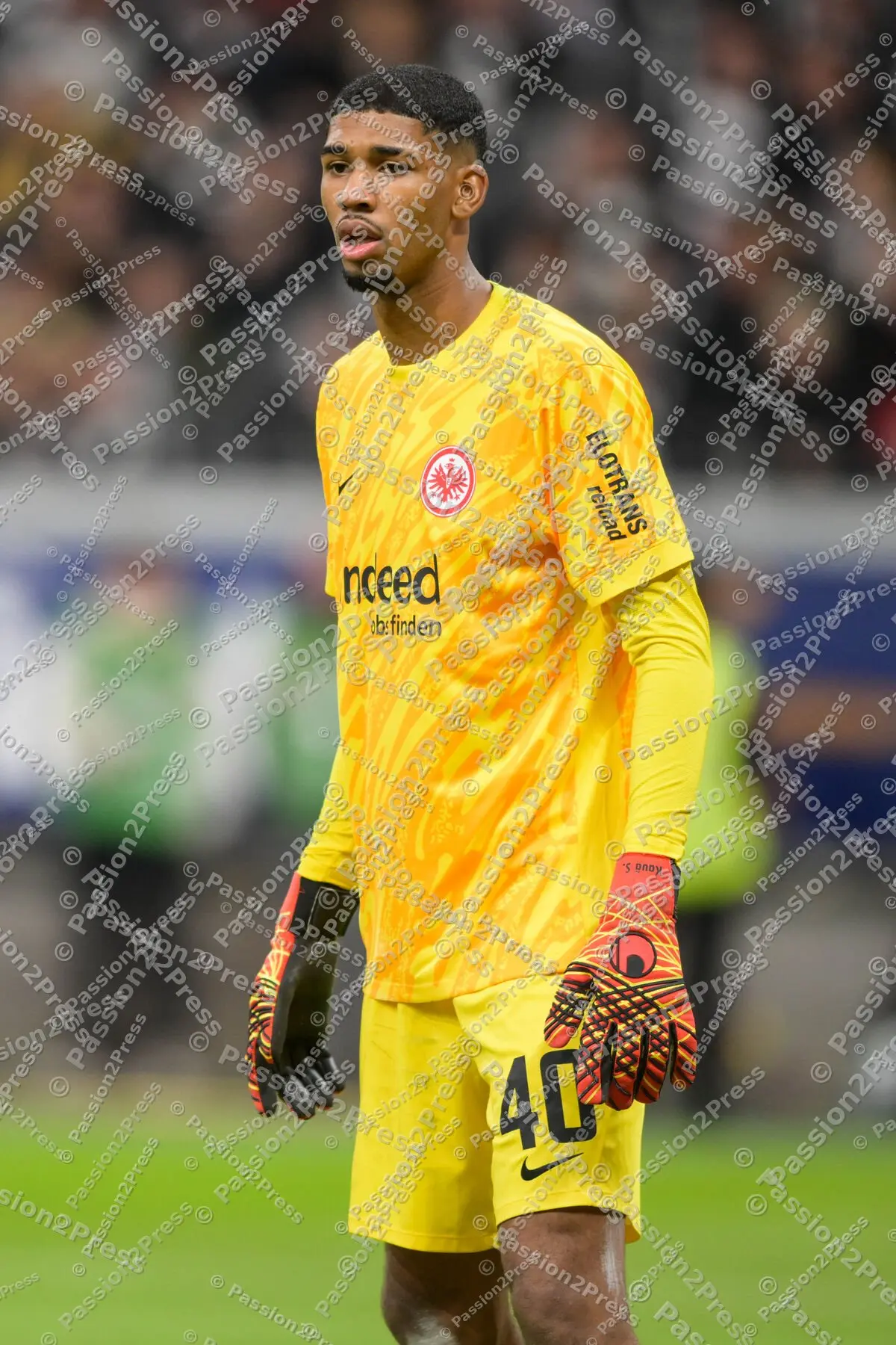 SGEFCB_20241006_2138