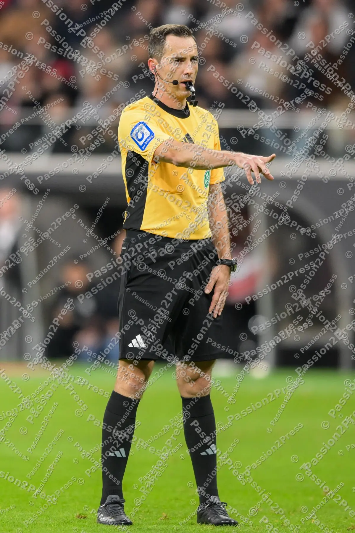 SGEFCB_20241006_2191