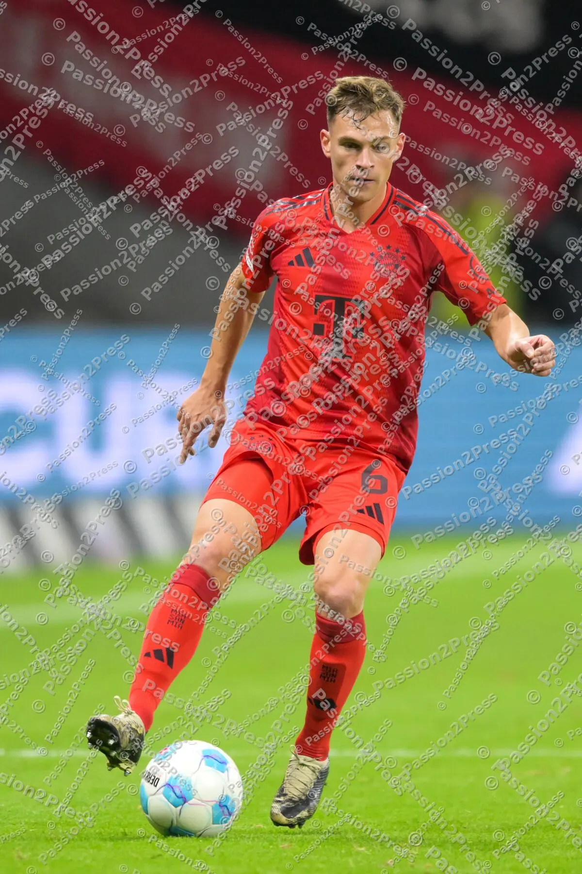 SGEFCB_20241006_2223