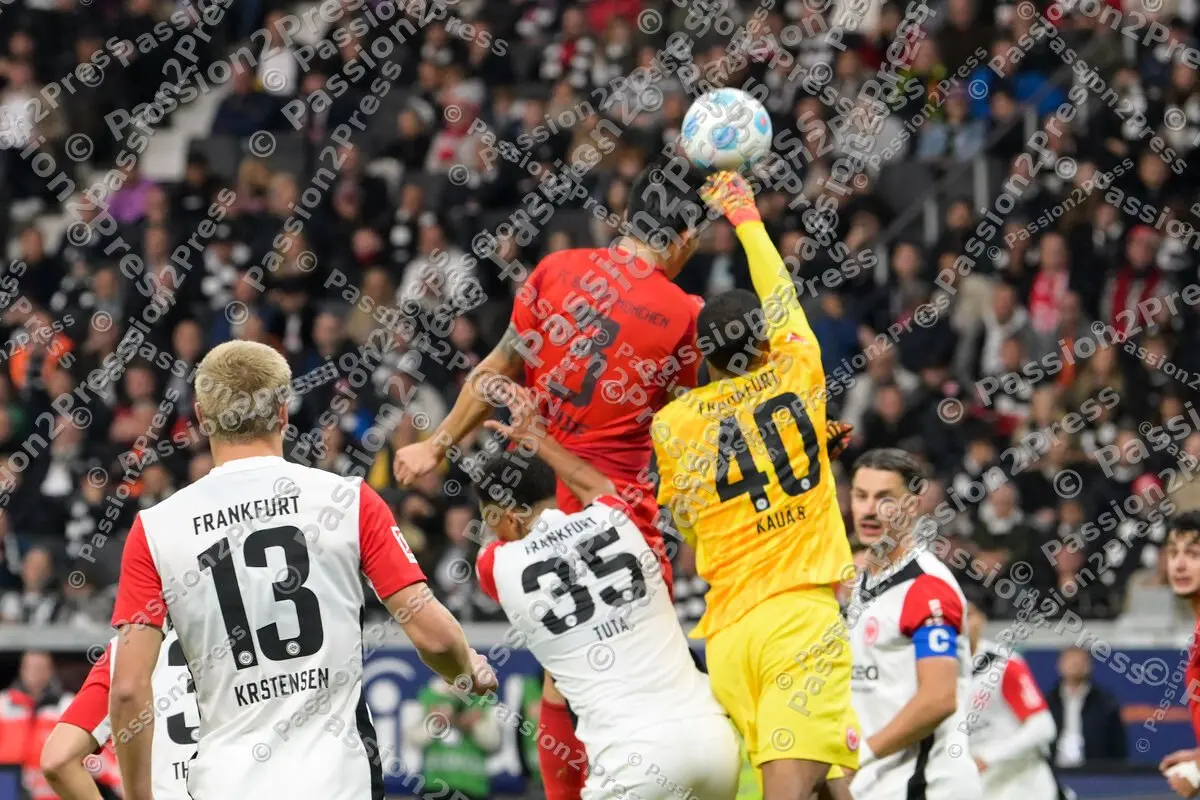 SGEFCB_20241006_2308