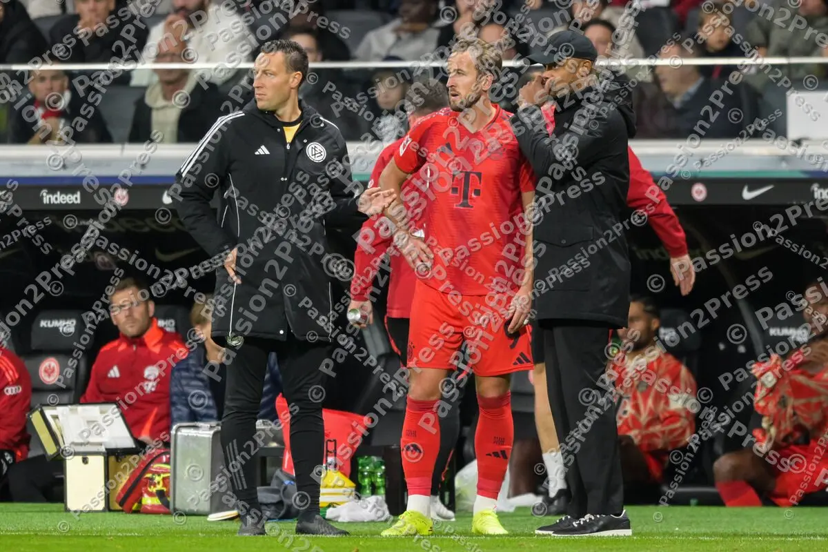 SGEFCB_20241006_2480