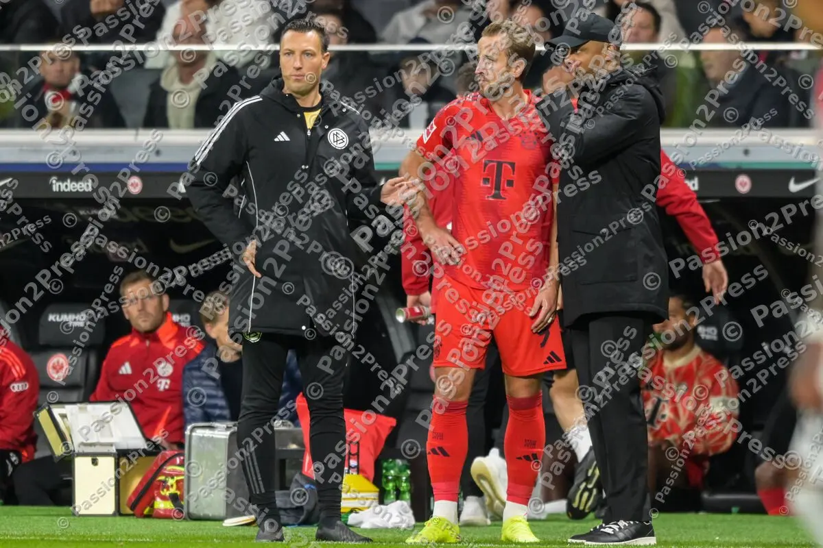 SGEFCB_20241006_2488