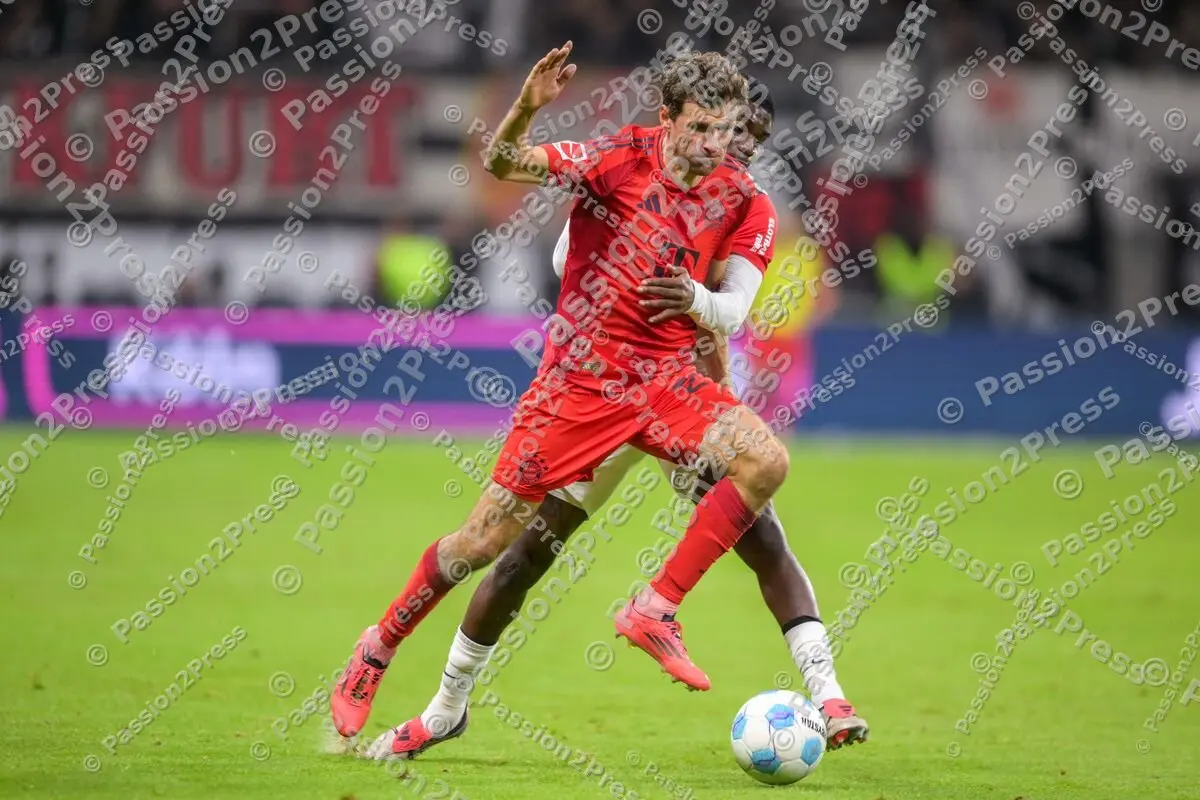 SGEFCB_20241006_2628