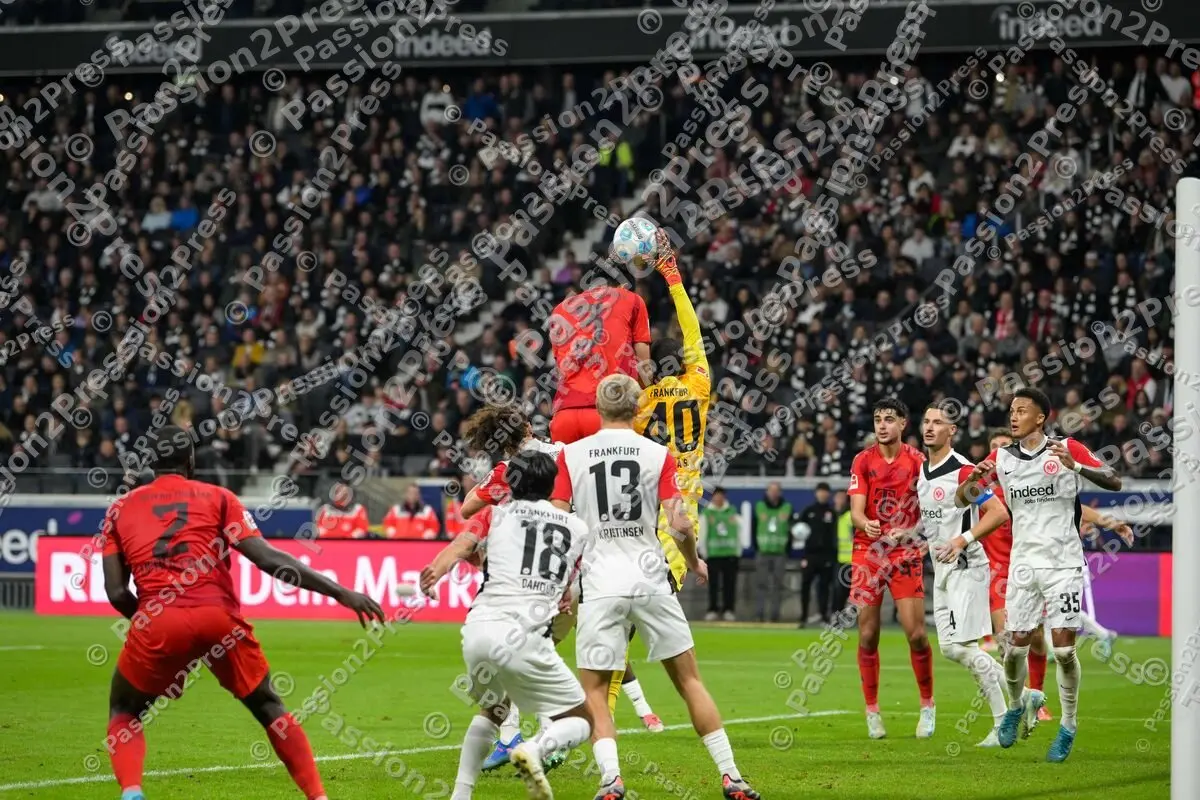 SGEFCB_20241006_2861