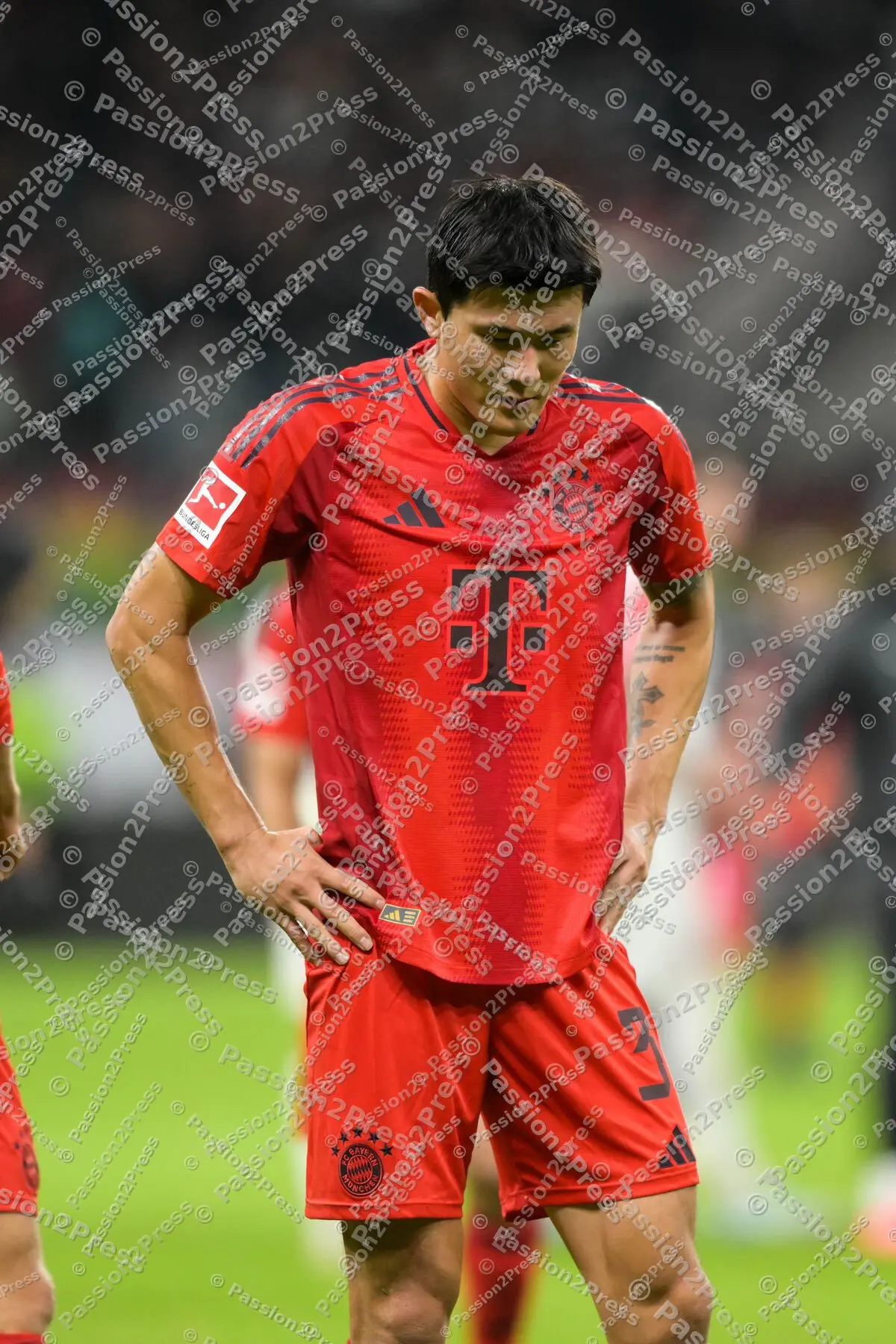 SGEFCB_20241006_3487