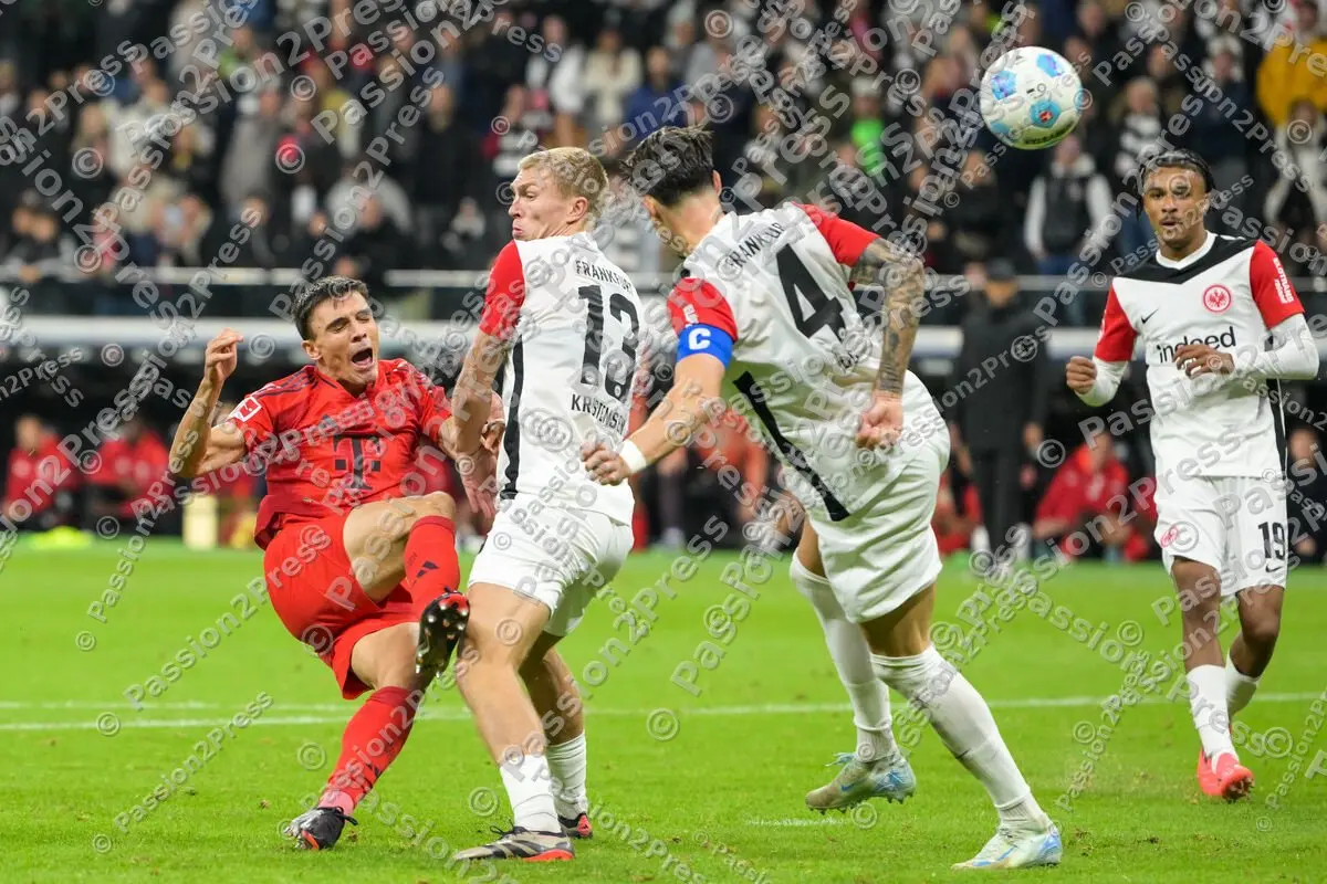 SGEFCB_20241006_3666