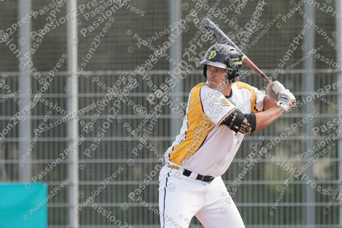 mf_MHDBC_20170826_0036