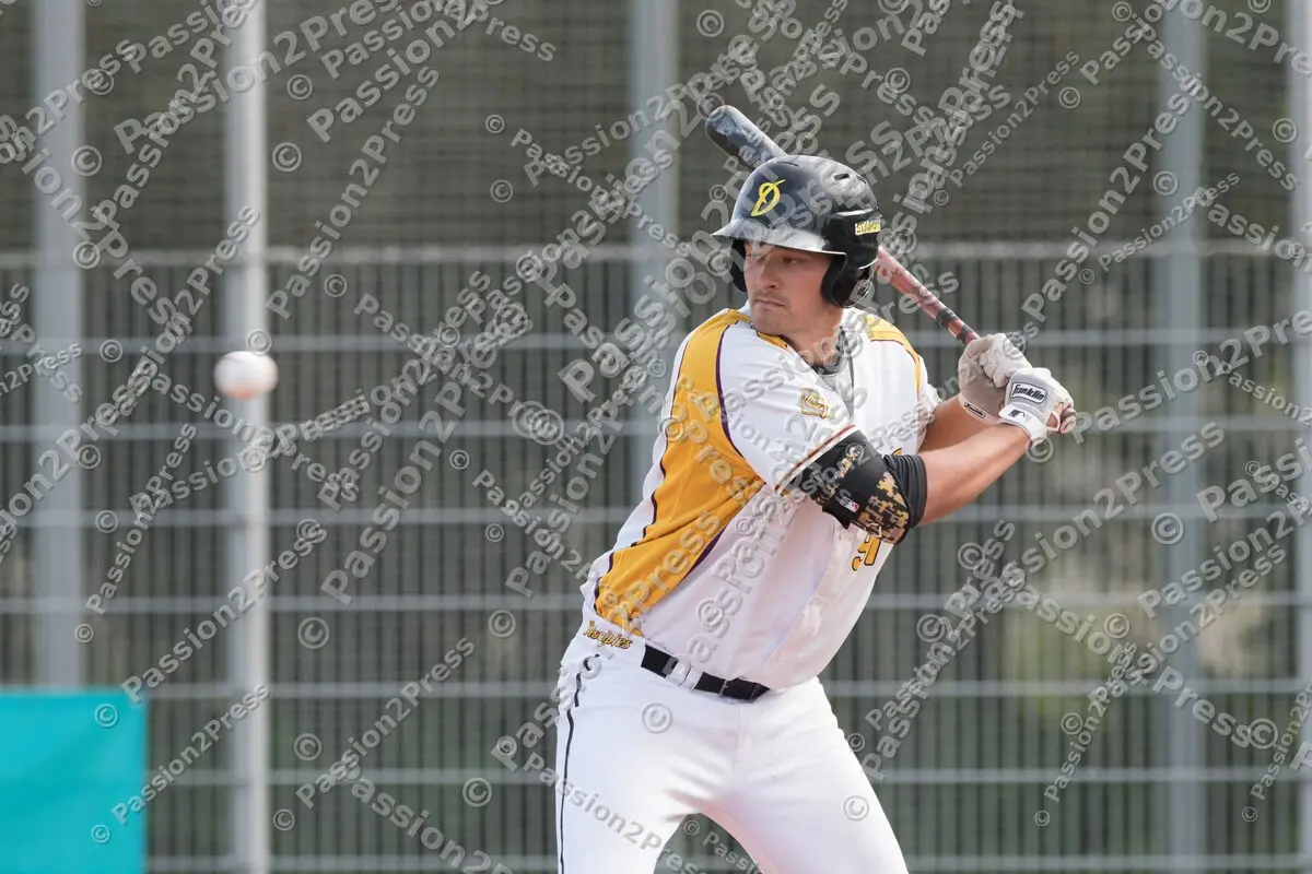 mf_MHDBC_20170826_0037