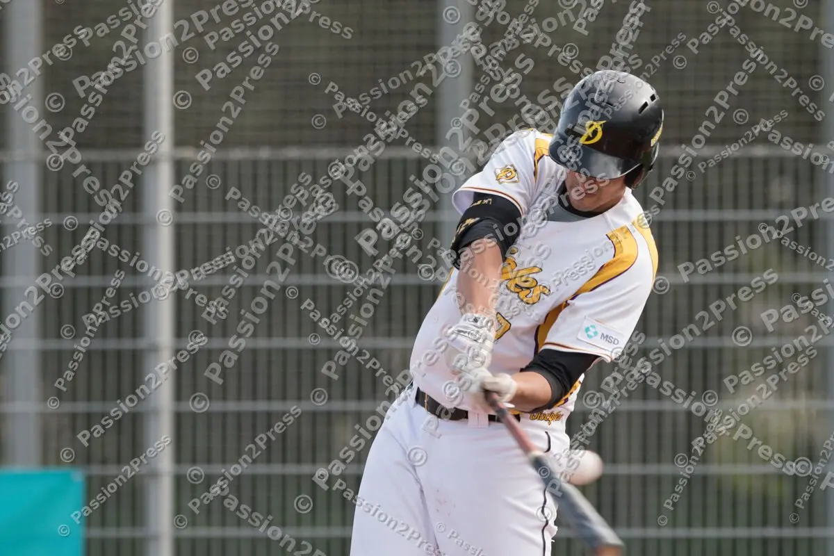 mf_MHDBC_20170826_0042