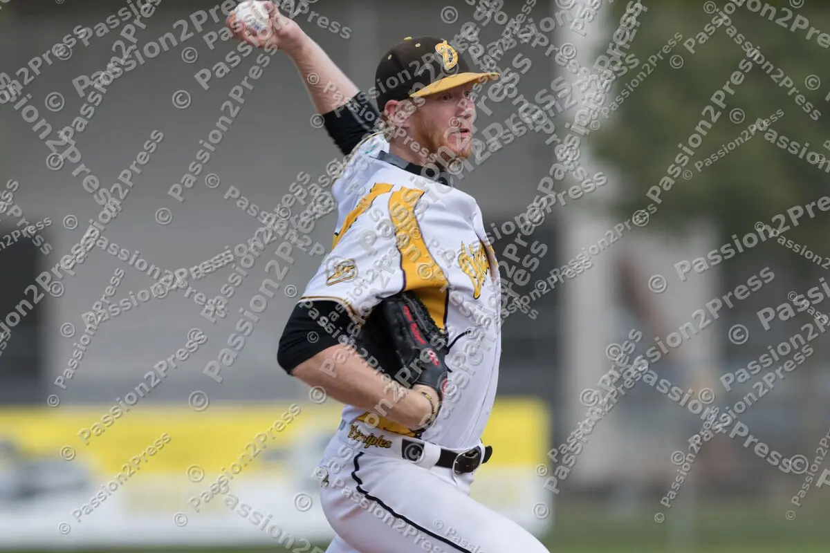 mf_MHDBC_20170826_0083