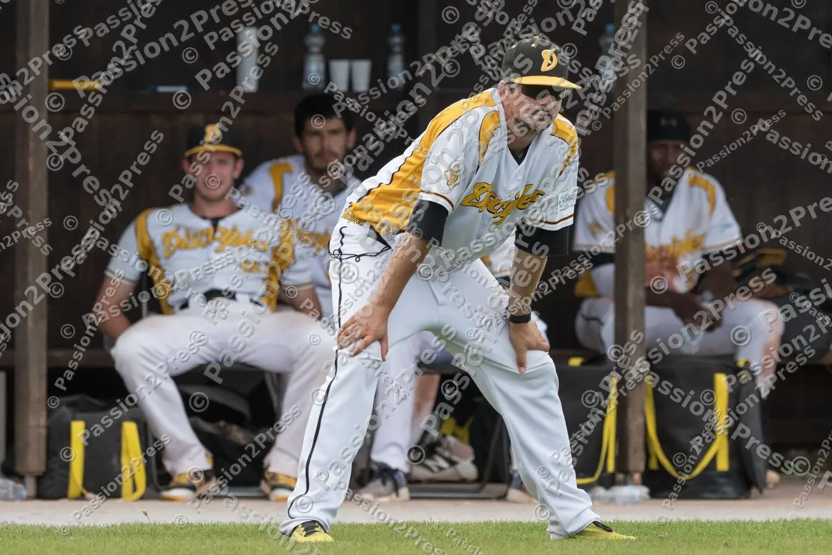 mf_MHDBC_20170826_0125