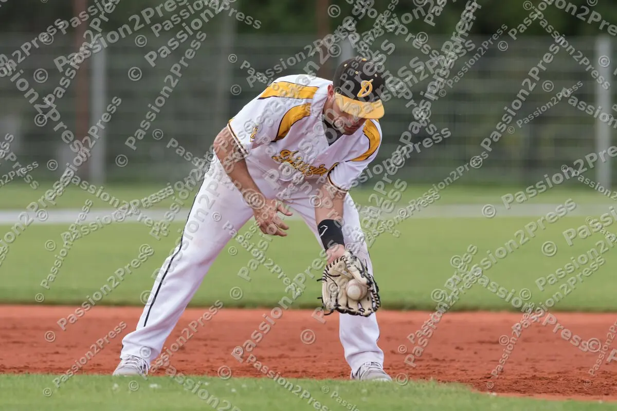 mf_MHDBC_20170826_0160