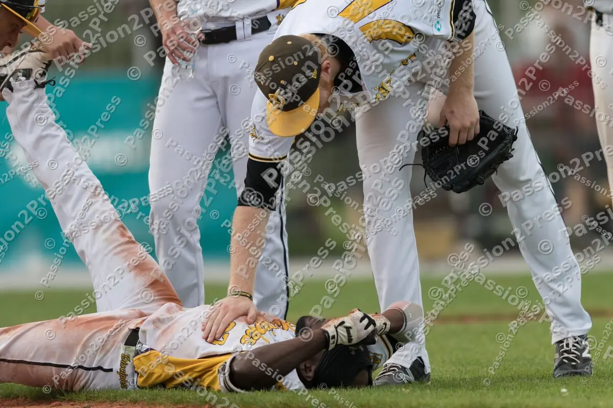 mf_MHDBC_20170826_0359