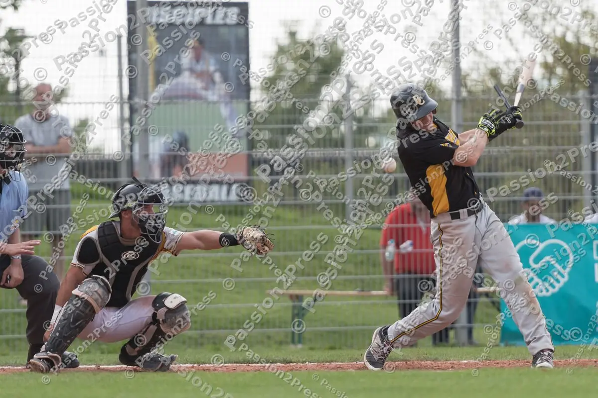 mf_MHDBC_20170826_0387