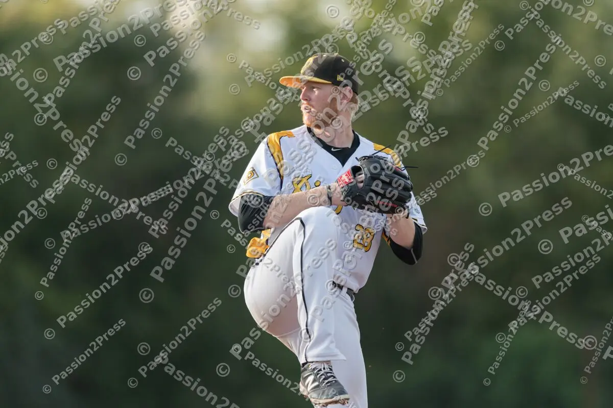 mf_MHDBC_20170826_0652