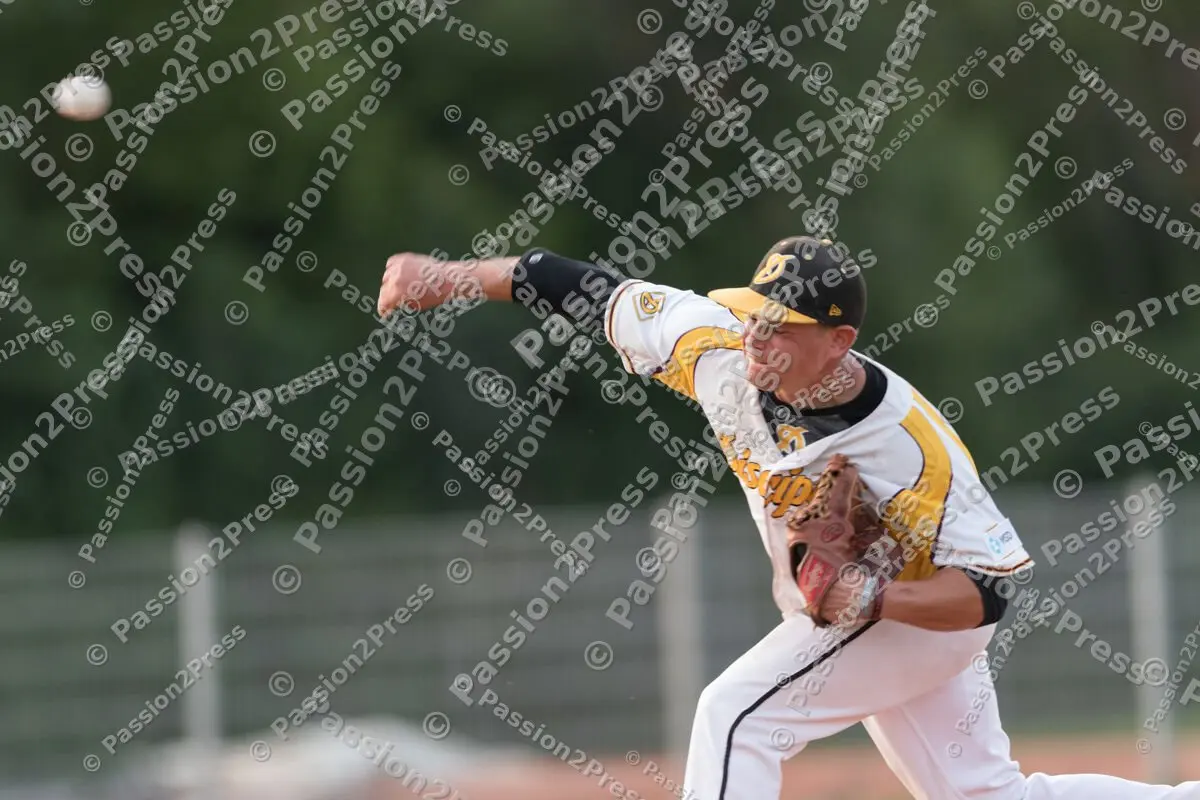 mf_MHDBC_20170826_0774