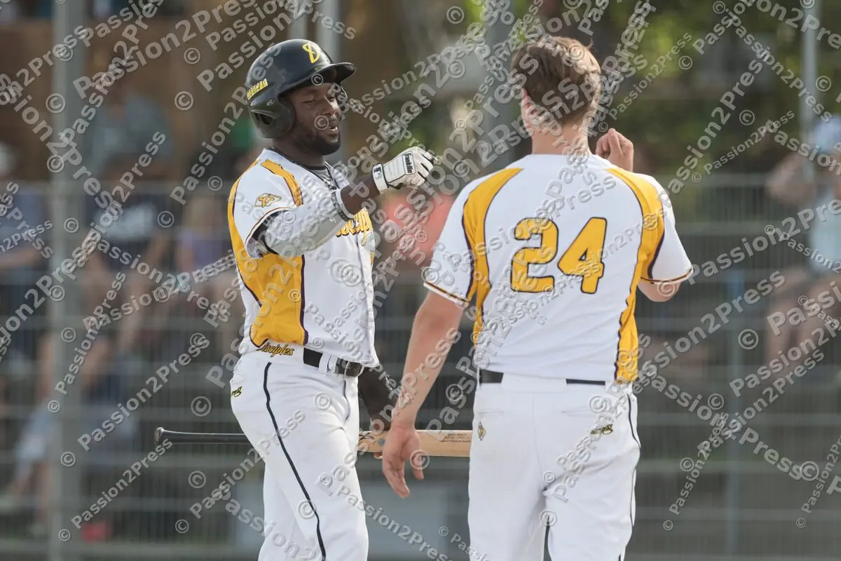 mf_MHDBC_20170826_0961