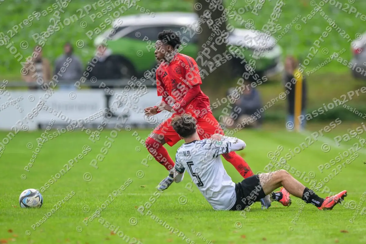 ULMFCBU19_20241027_0248