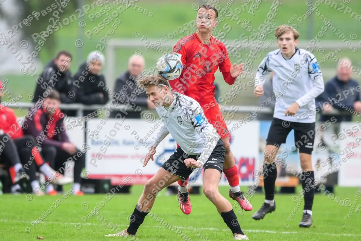 ULMFCBU19_20241027_0385