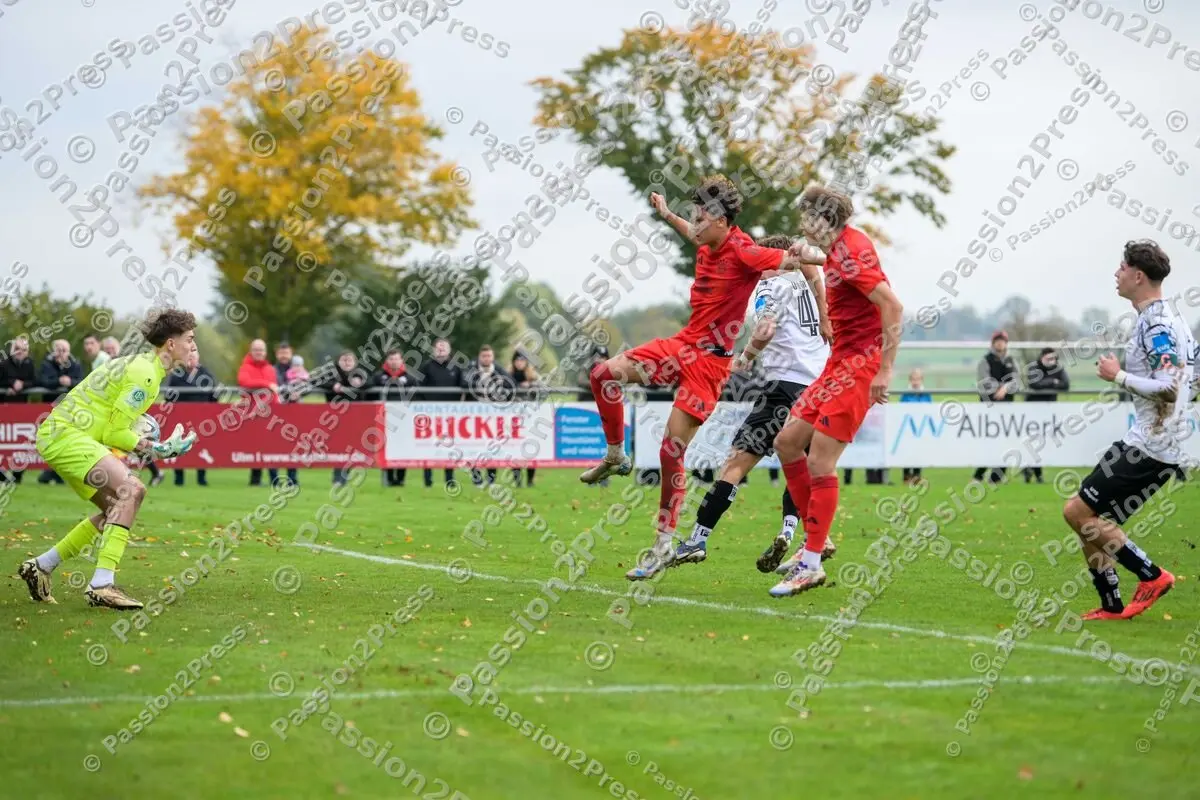 ULMFCBU19_20241027_0578