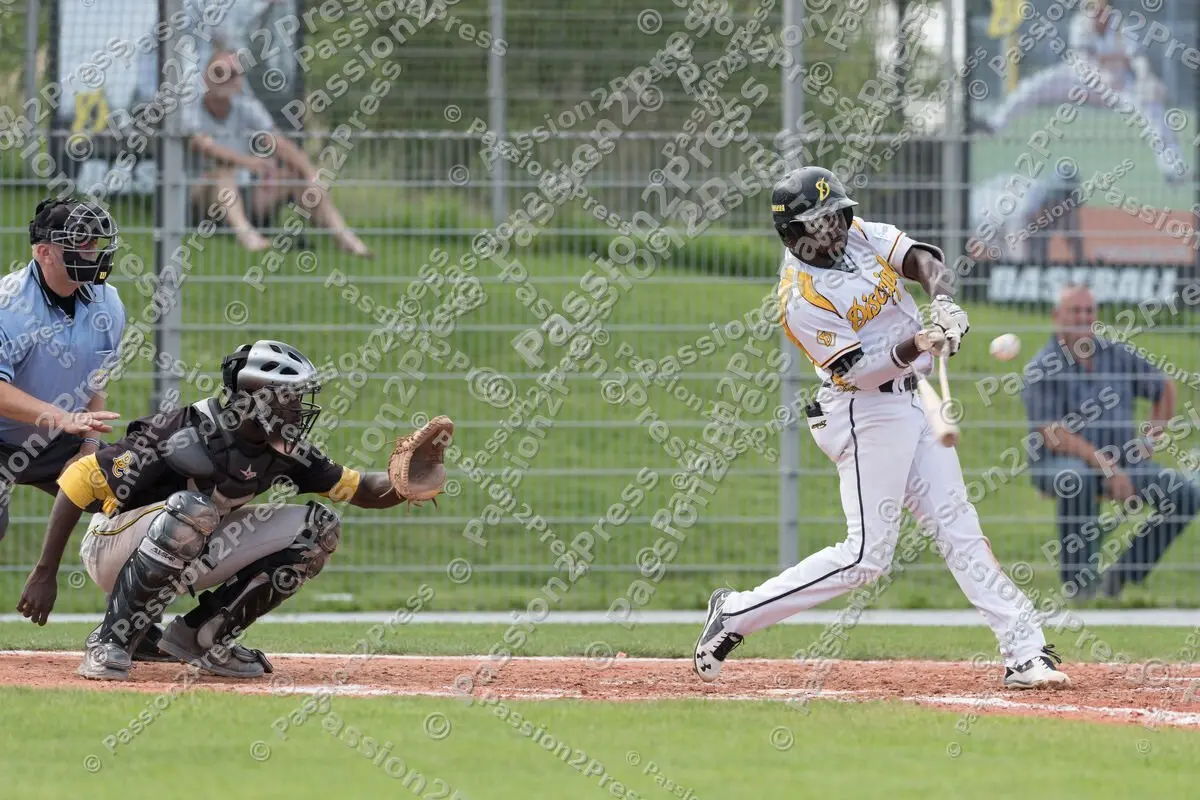 mf_MHDBC_20170826_1071-2