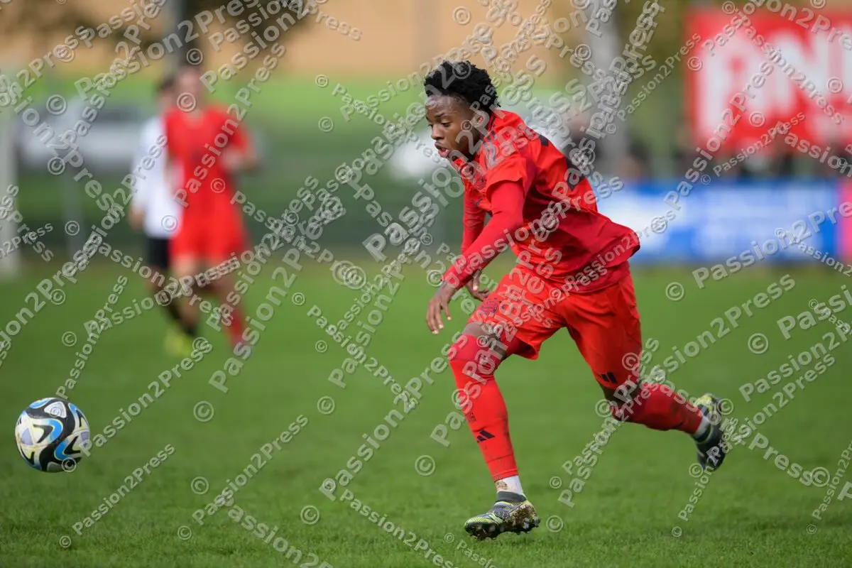 ULMFCBU19_20241027_1375