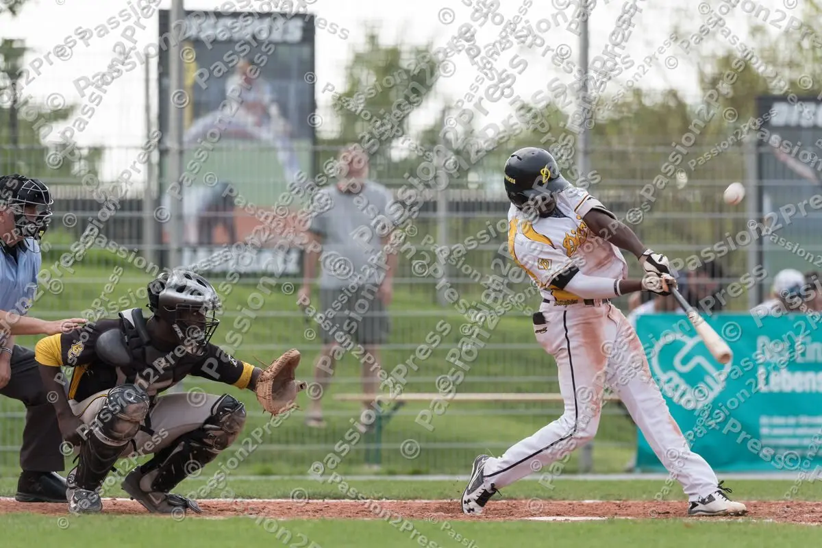 mf_MHDBC_20170826_1319