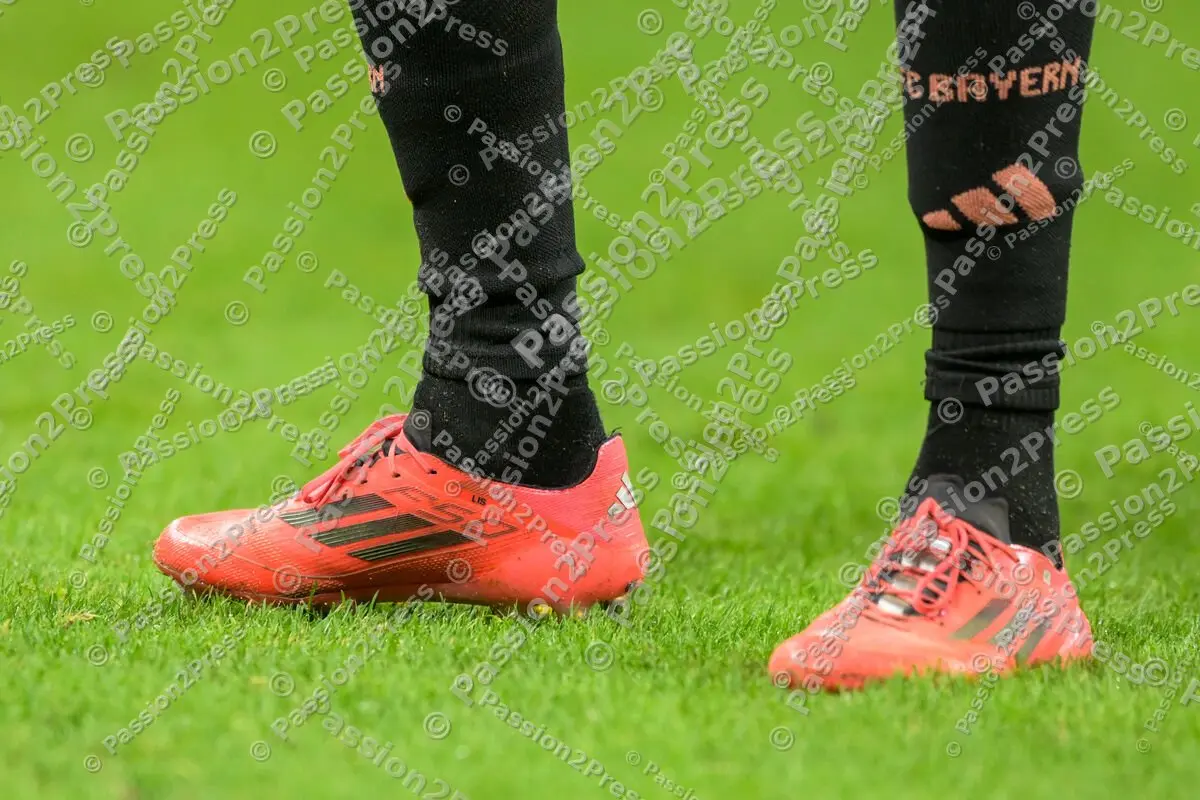 FSVFCB_20241030_2185