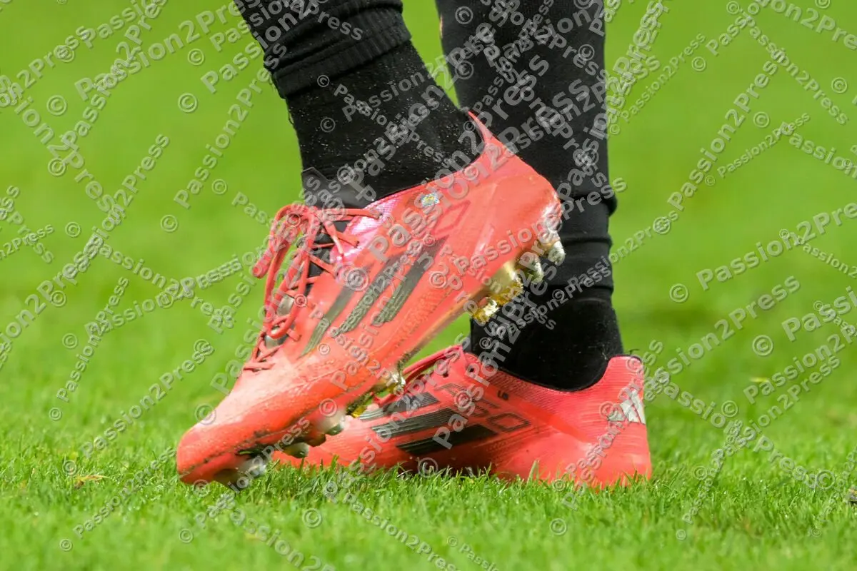 FSVFCB_20241030_2192