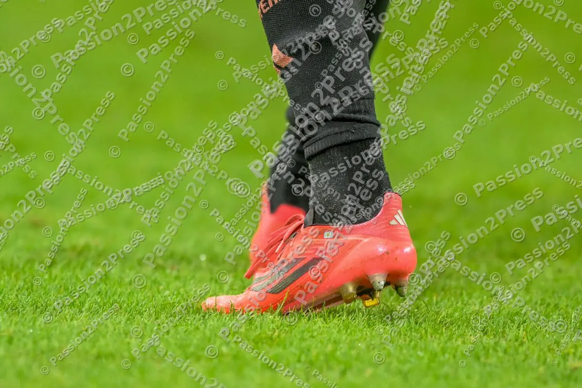 FSVFCB_20241030_2194