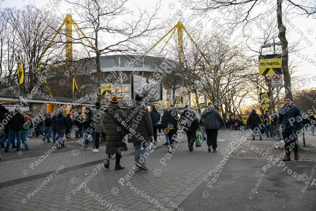 BVBFCB_20241130_0081
