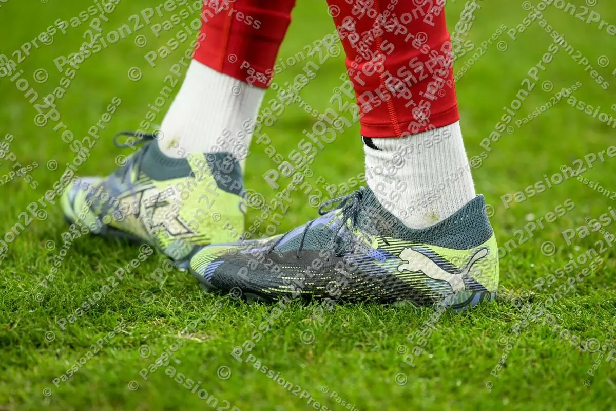 BVBFCB_20241130_0488