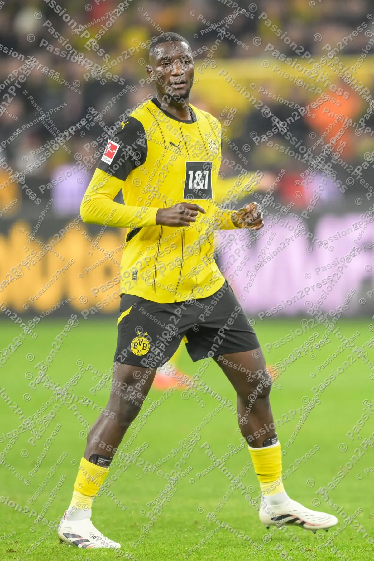 BVBFCB_20241130_1133