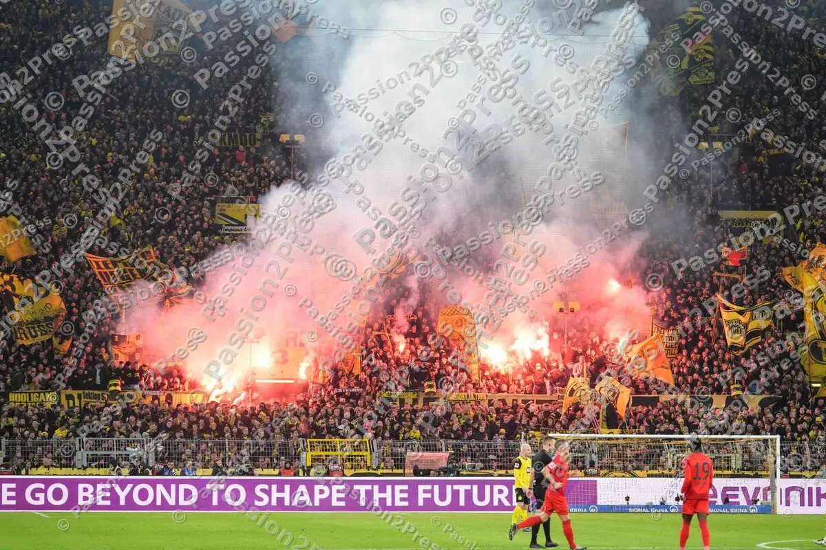 BVBFCB_20241130_1235