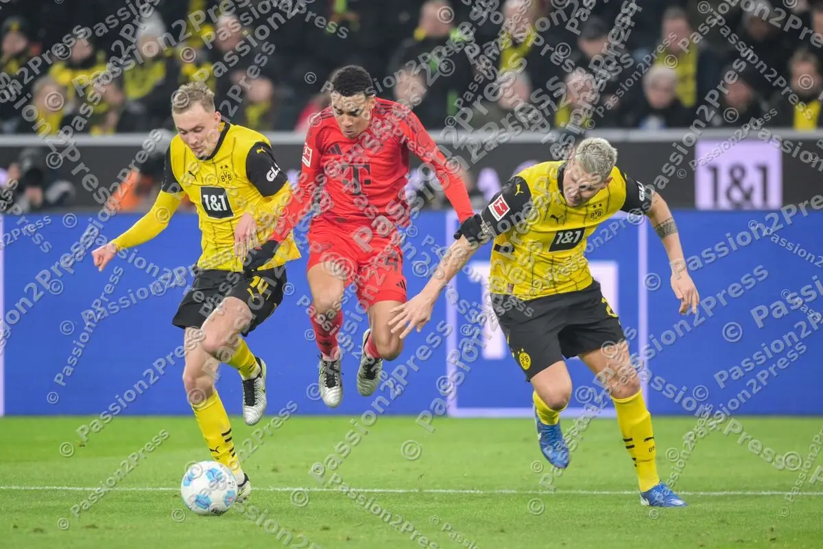 BVBFCB_20241130_2030