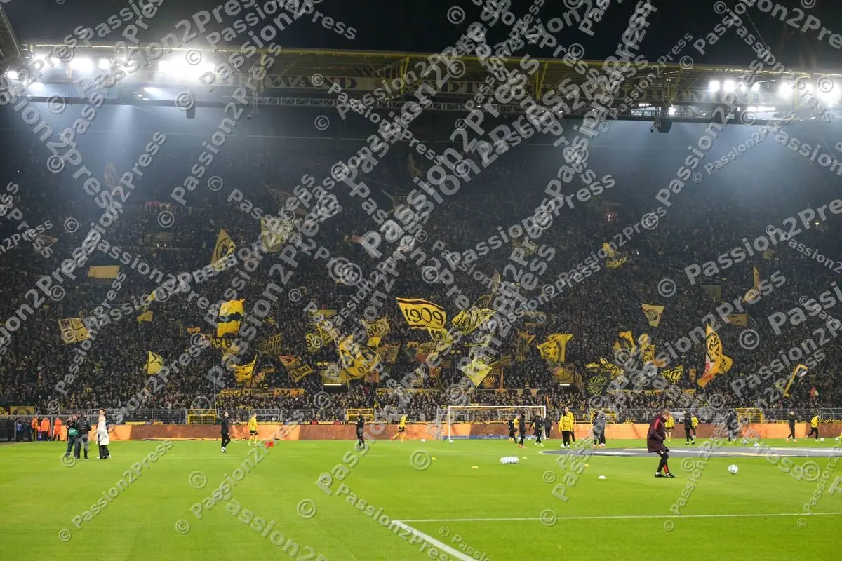 BVBFCB_20241130_2362