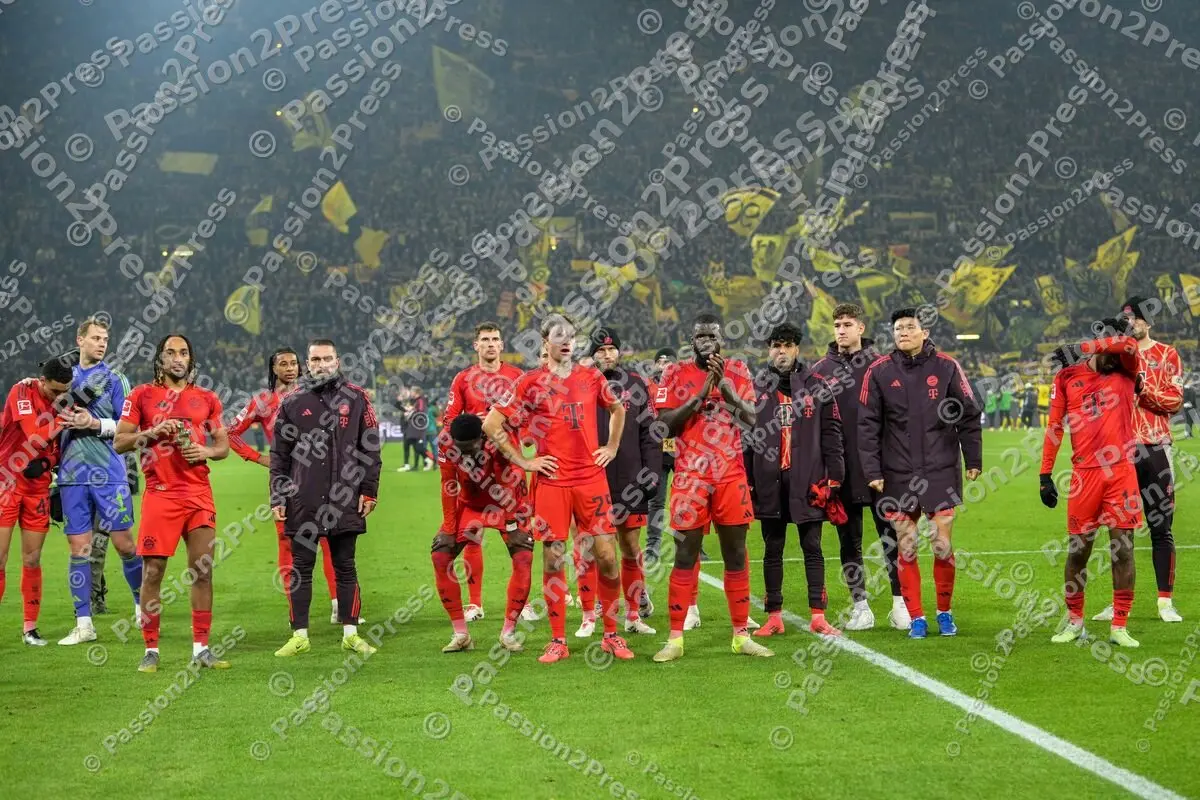 BVBFCB_20241130_2431