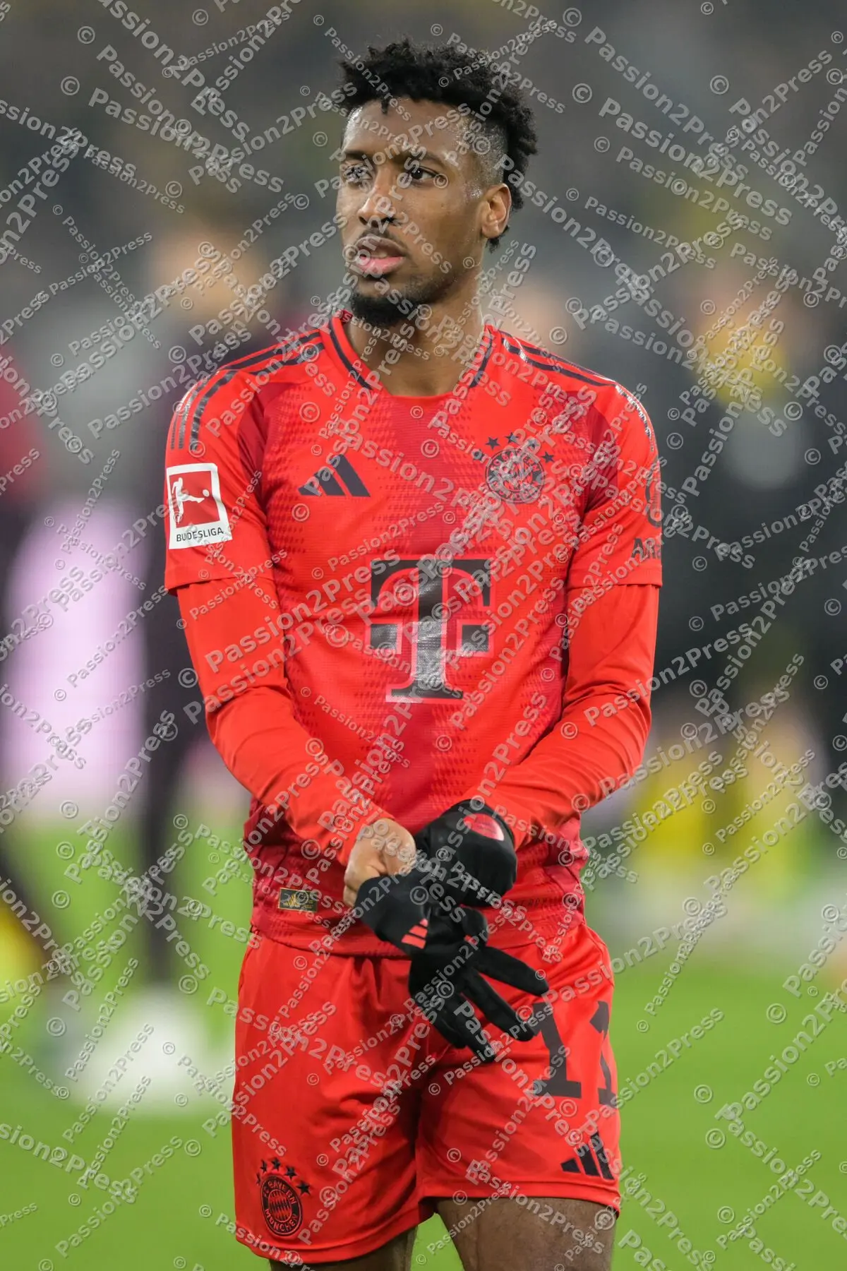BVBFCB_20241130_2645