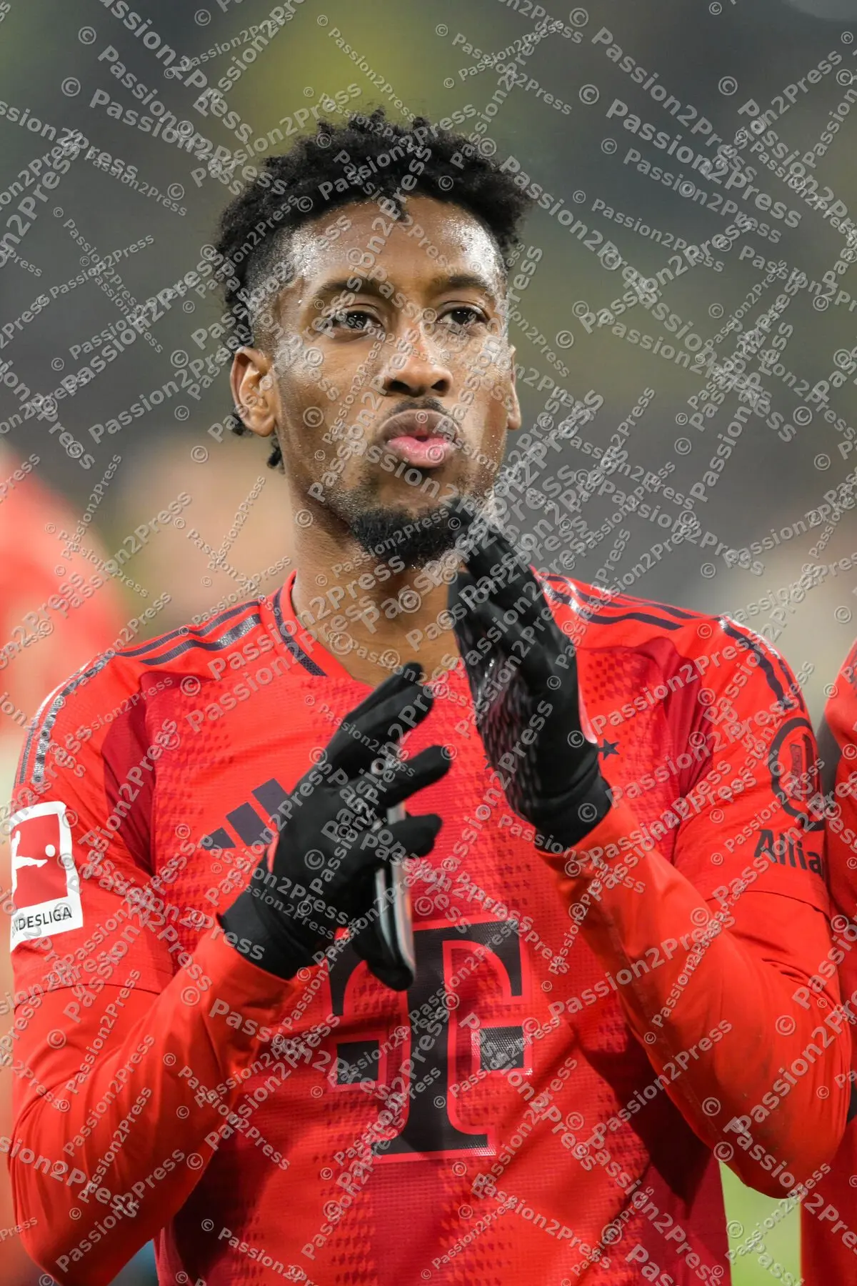 BVBFCB_20241130_2689