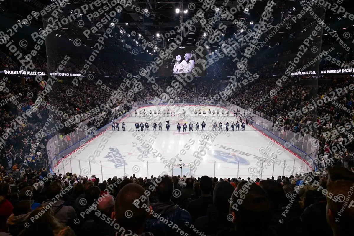 20250131 EHC Red Bull München - Pinguins Bremerhaven 